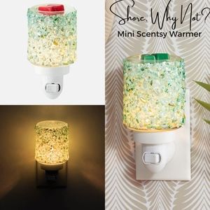 *New* Scentsy Shore Why Not Mini Warmer